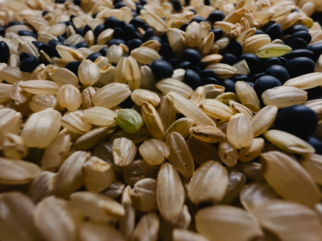 Quinoa für Nervenregeneration